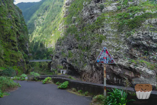 Policy-Based Routing On OPNsense via Wireguard - Bypass Regional Censorship